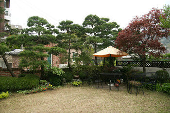 Cindy's Seoul